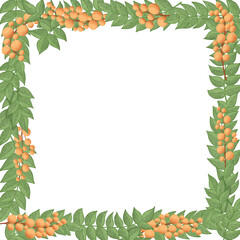 Floral border frame with orange berries. Hand drawn illustration.