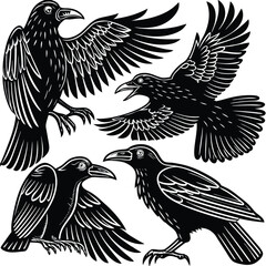 Obraz premium set-of-crow-silhouette-vector-image (5).eps