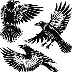 Obraz premium set-of-crow-silhouette-vector-image (4).eps