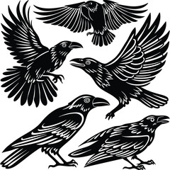 Fototapeta premium set-of-crow-silhouette-vector-image (6).eps