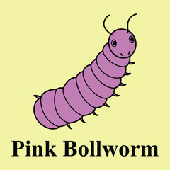 Pink Bollworm icon