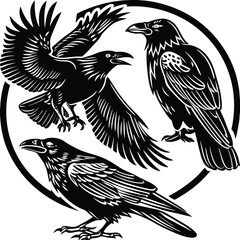 Obraz premium set-of-crow-silhouette-vector-image (28).eps