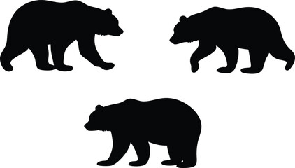 Fototapeta premium Vector Set of Bear Silhouettes in Different Poses