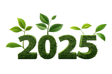 Eco-Friendly 2025 Concept with Green Numbers and Fresh Leaves – Sustainable Environment and Nature Growth Theme for New Year or Earth Day Campaigns