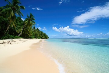 Fototapeta premium Tropical beach paradise (6)