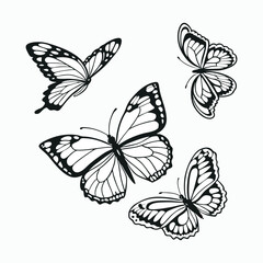 Obraz premium Moth Collection Vector Silhouette bundle