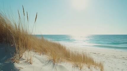 Dry coastal grass on sand dune, soft waves in the distance. Beautiful nature image for web design, outdoor ads, or summer concepts.