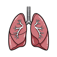 Cartoon illustration of human lungs with detailed bronchi, concept for medical infographics, health education, and respiratory system awareness