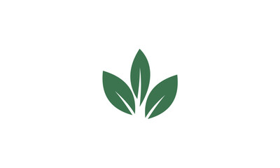 Fototapeta premium green leaves isolated on white