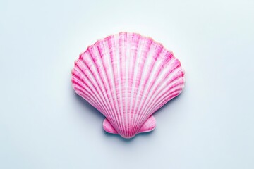 Pink Seashell Still Life on Light Blue Background for Summer Vibes