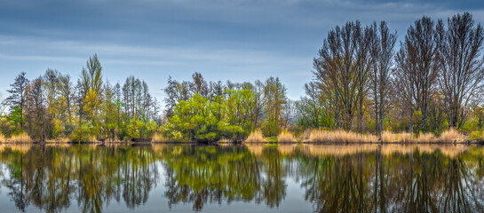 Tranquil Early Spring Landscape with Reflections of Deciduous Trees and Vegetation in Calm Water...