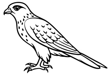 Graceful Kestrel Drawing