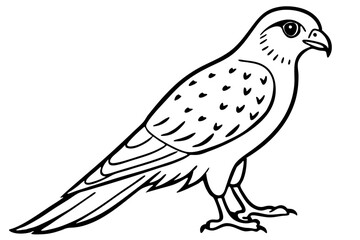 Graceful Kestrel Drawing