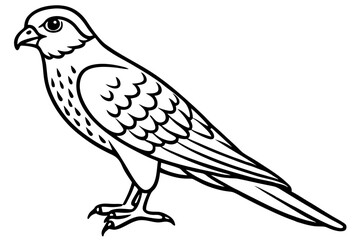 Graceful Kestrel Drawing