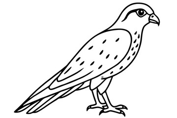 Graceful Kestrel Drawing