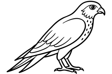 Graceful Kestrel Drawing