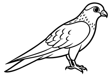 Graceful Kestrel Drawing