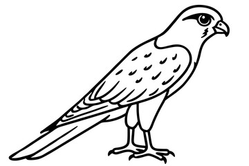 Graceful Kestrel Drawing