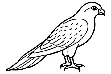 Graceful Kestrel Drawing
