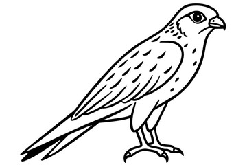 Graceful Kestrel Drawing