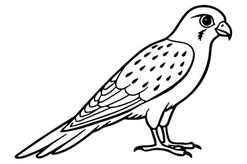 Graceful Kestrel Drawing