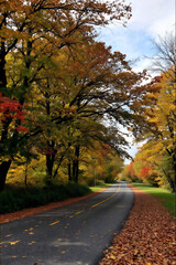 Obraz premium A quiet country road lined with trees during the fall season, with colorful leaves
