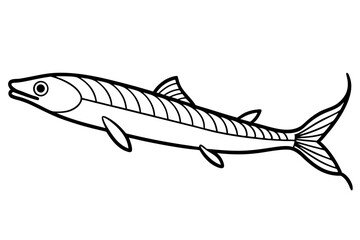 Graceful Oarfish Illustration