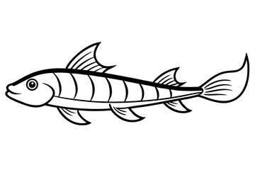 Graceful Oarfish Illustration