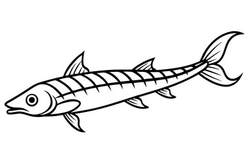 Graceful Oarfish Illustration