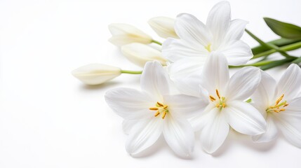 White lily flowers elegant floral arrangement fresh bloom botanical petals blossom nature photography 