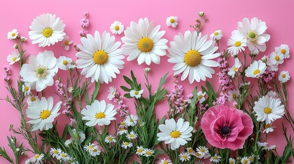 Vibrant Spring Floral Arrangement: A Symphony of Daisies and Anemones on Pink