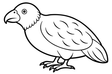 Kestrel Abstract Linework