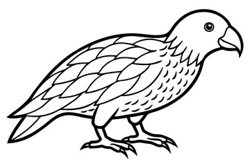 Kestrel Abstract Linework