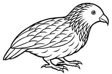 Fototapeta premium Kestrel Abstract Linework