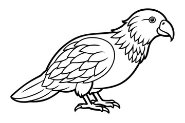 Fototapeta premium Kestrel Abstract Linework