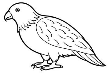 Kestrel Abstract Linework
