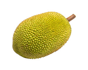 Ripe Jackfruit on White Background for Tropical Flavor and Nutrition