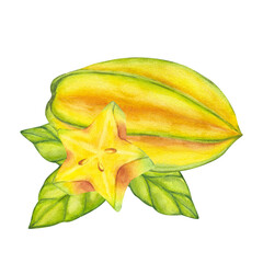 Fototapeta premium Watercolor starfruit. Averrhoa carambola or Bilimbi. Whole yellow fruit and slices with green leaf foliage. Botanical exotic star apple. Hand drawn illustration isolated on white background. For menu