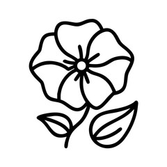 morning glory flower line drawn vector art - illustration morning glory flower isolated transparent background