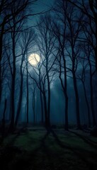 Fototapeta premium Silver moonlight bathes a tranquil forest, shadows long and still, night photography, silver