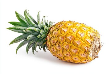 Single ripe pineapple on white background