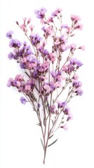 Vibrant bouquet of purple and pink flowers arranged elegantly on a white background highlighting nature's beauty