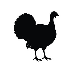 black chicken vector, Premium Turkey Silhouette Artwork – Ideal for Thanksgiving & Seasonal Projects