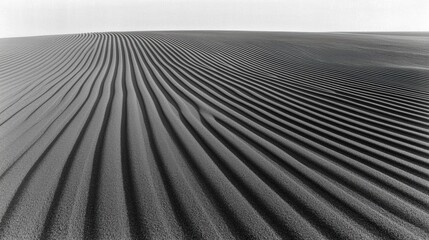 A black and white photograph of a desert landscape.