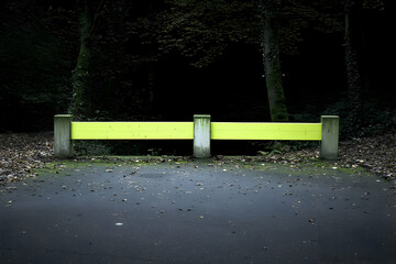 Lime Green Barrier in a Dark Forest Setting