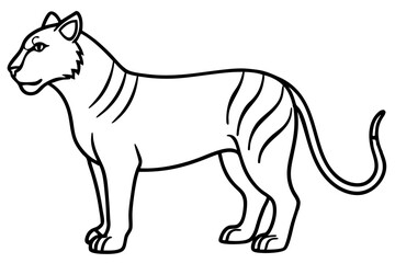 Liger Outline Vector