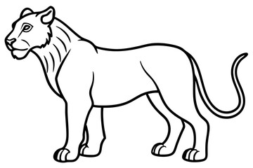 Liger Outline Vector