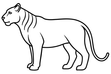 Liger Outline Vector