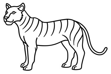 Liger Outline Vector