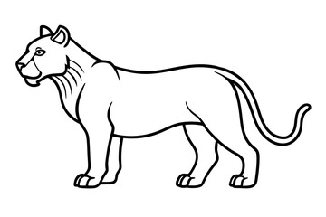 Liger Outline Vector